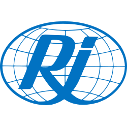 Rehabilitation International - Arab region